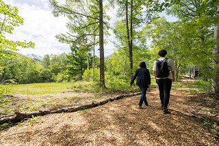 のりくらトレイル