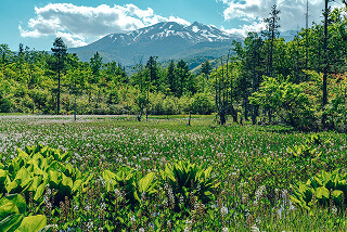 一の瀬草原トレイル