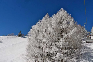 冬の乗鞍で最高の雪遊び！