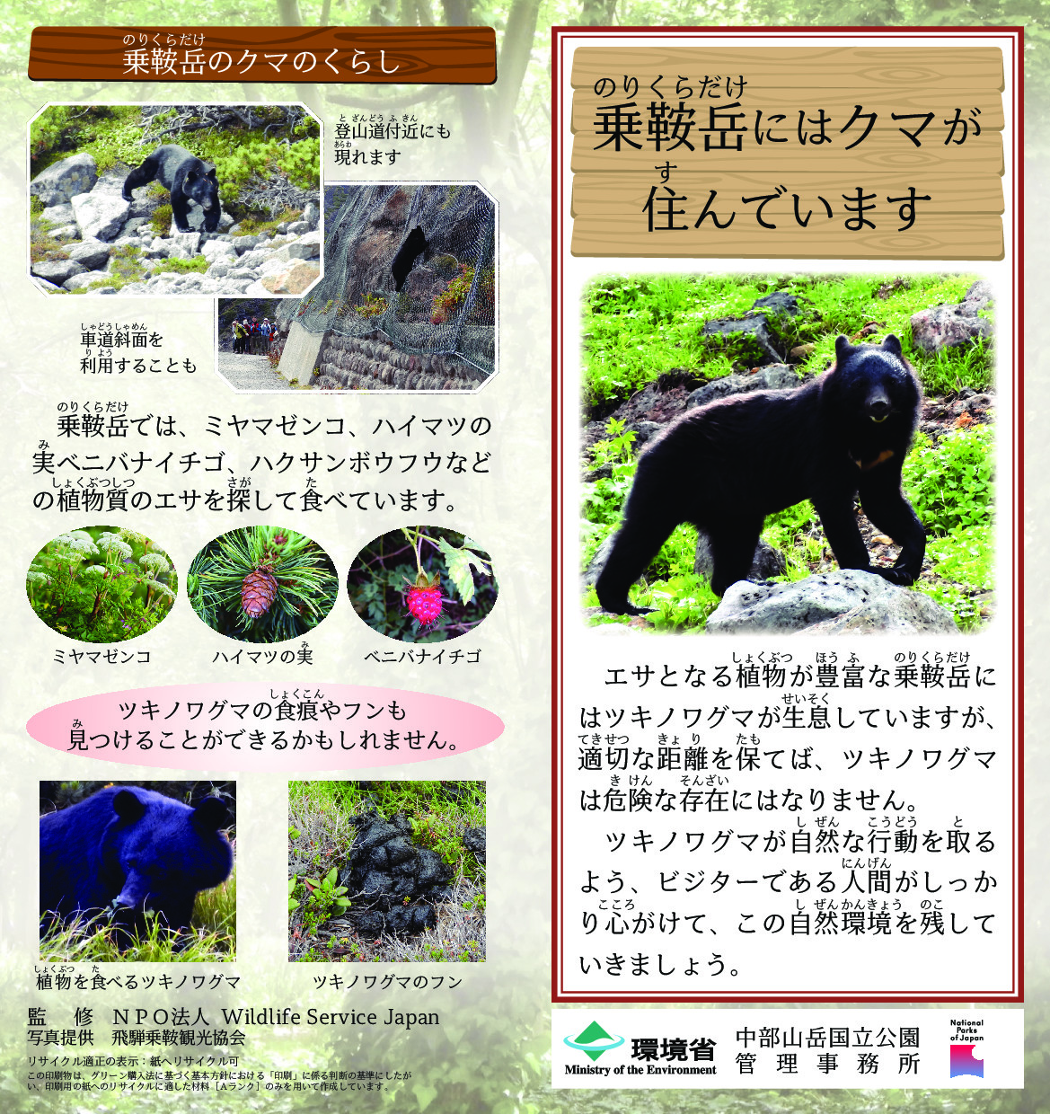 ツキノワグマのくらし