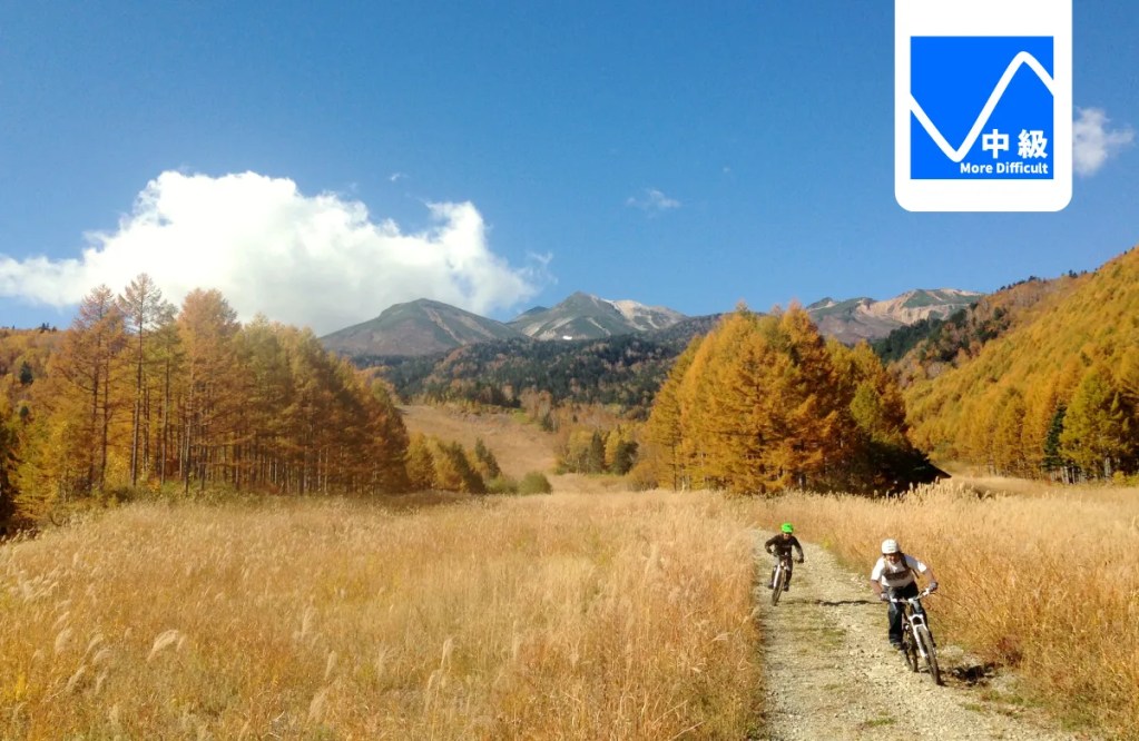 バンブーシュート