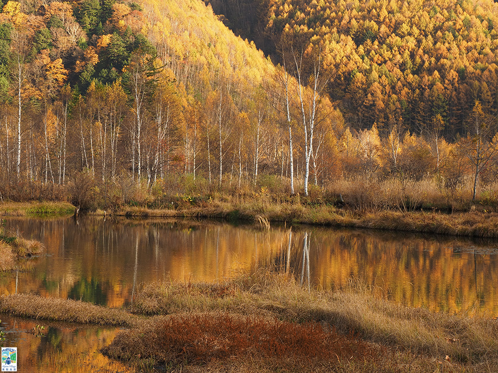 紅葉フォトコンテスト2025優秀賞-3