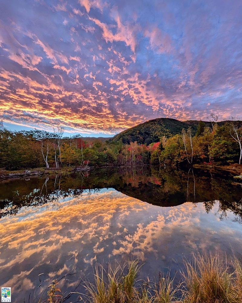 紅葉フォトコンテスト2024優秀賞-2