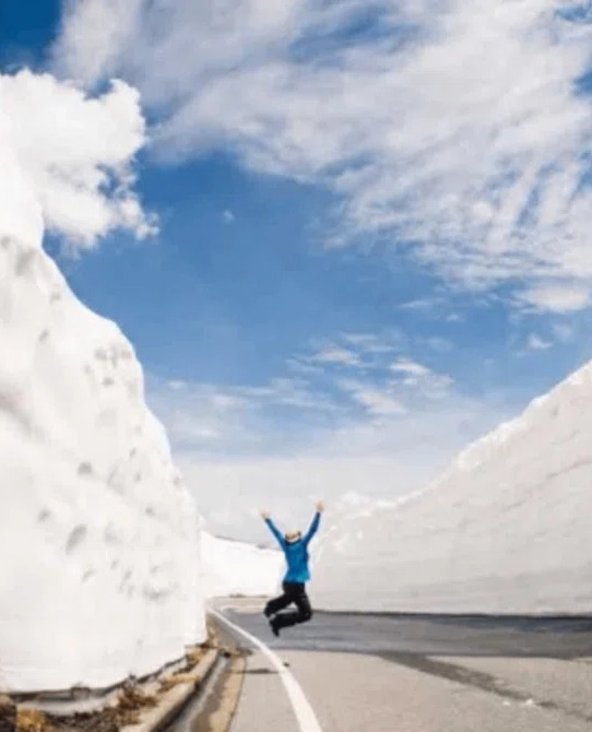 乗鞍岳春山バスで憧れの「雪の回廊」へ。